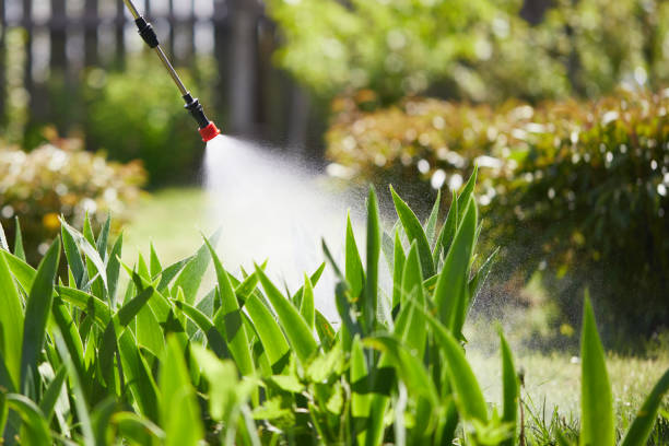 24/7 Emergency Ant Control experts in Aberdeen, IN