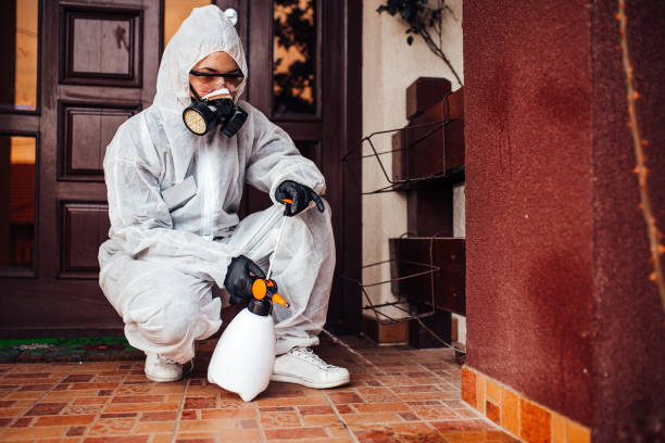 Reliable Ant Control contractor in Aberdeen, IN by Show Me Pest Control